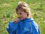 Click image for larger version

Name:	lex and dandelions.jpg
Views:	892
Size:	1.24 MB
ID:	954